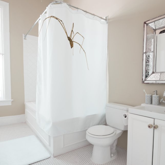 Spider Shower Curtain (In Situ)
