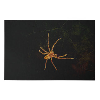 Spider Spider Faux Canvas Print