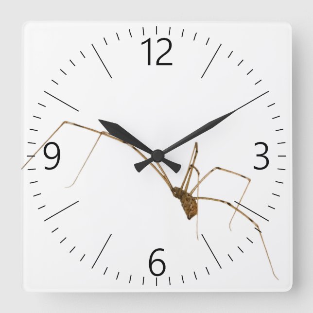 Spider Square Wall Clock (Front)
