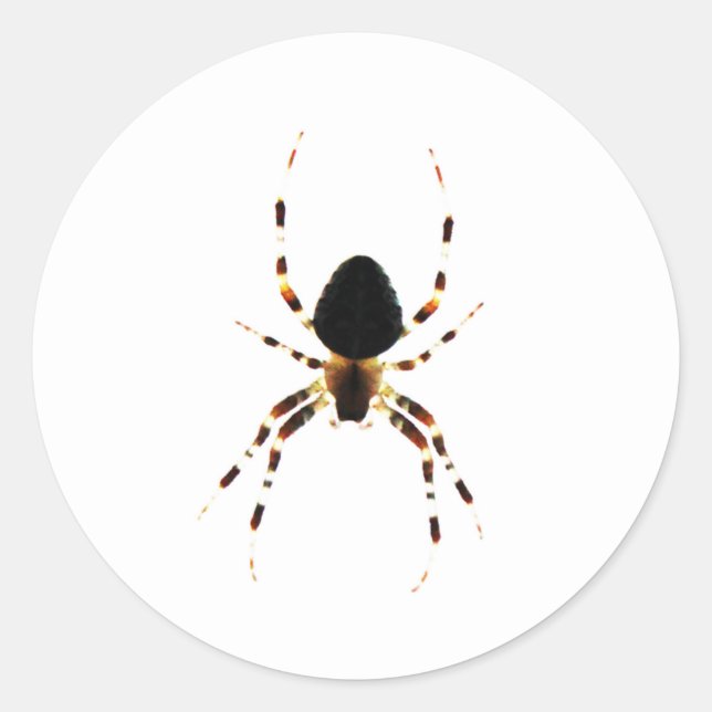 Spider st arc3 classic round sticker (Front)