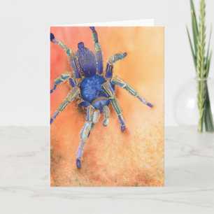 Spider — Tarantula Card