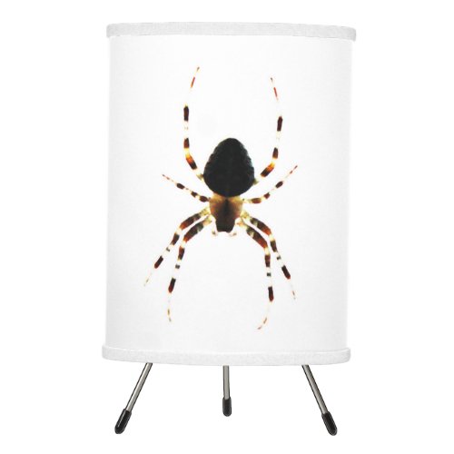 Spider tlcna tripod lamp