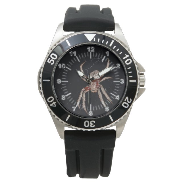 Spider Watch (Front)
