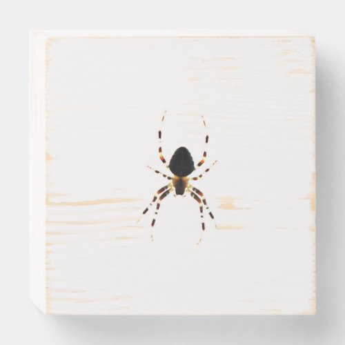 Spider wbs6x6cna wooden box sign