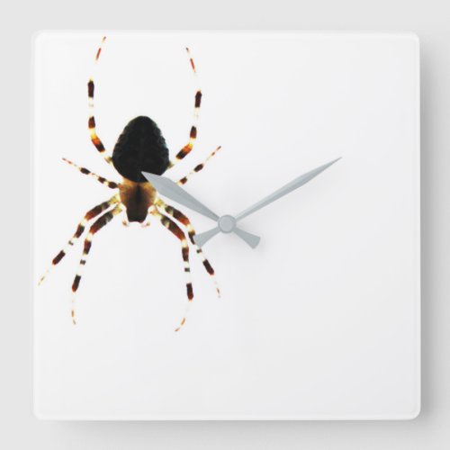 Spider wca square wall clock