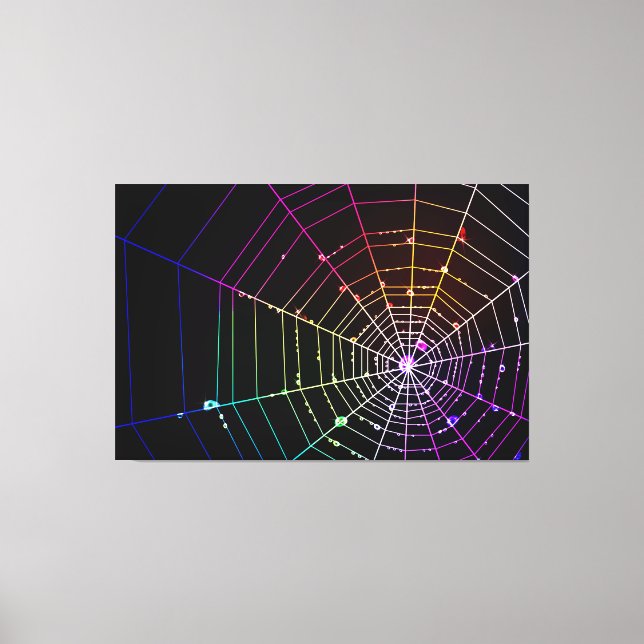 Spider Web 1 Wrapped Canvas Print (Front)