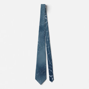 Spider Web Against The Blue Neck Tie