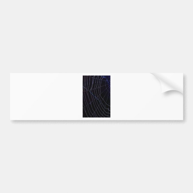 Spider Web Bumper Sticker (Front)