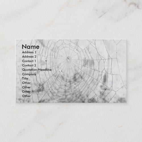 Spider web business card