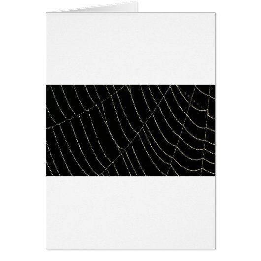 Spider Web Cards (Front)