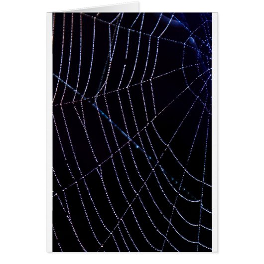Spider Web Cards (Front)