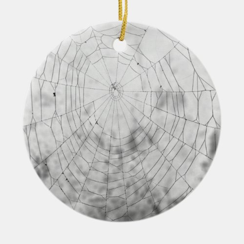 Spider web ceramic ornament