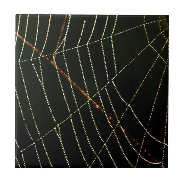 Spider Web Ceramic Tile (Front)