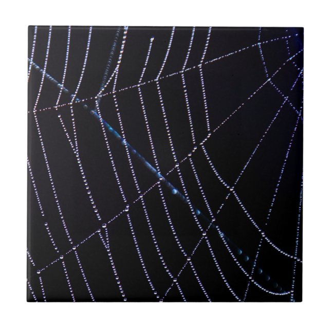 Spider Web Ceramic Tile (Front)