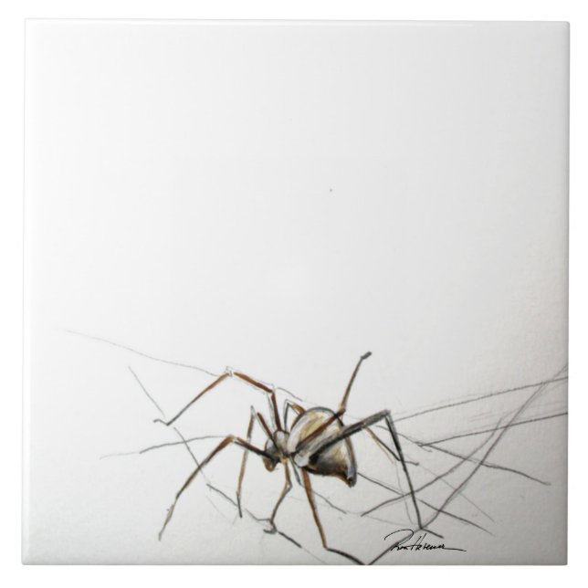 Spider Web Ceramic Tile (Front)