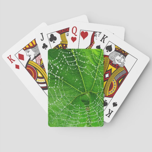 Spider Web Classic Playing Cards (Back)