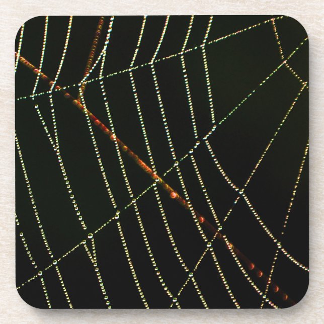 Spider Web Drink Coaster (Front)