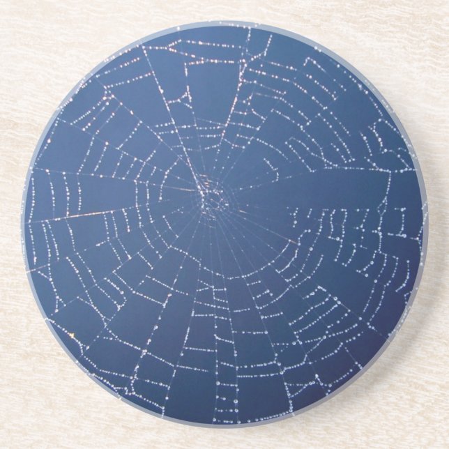 Spider Web Drink Coaster (Front)