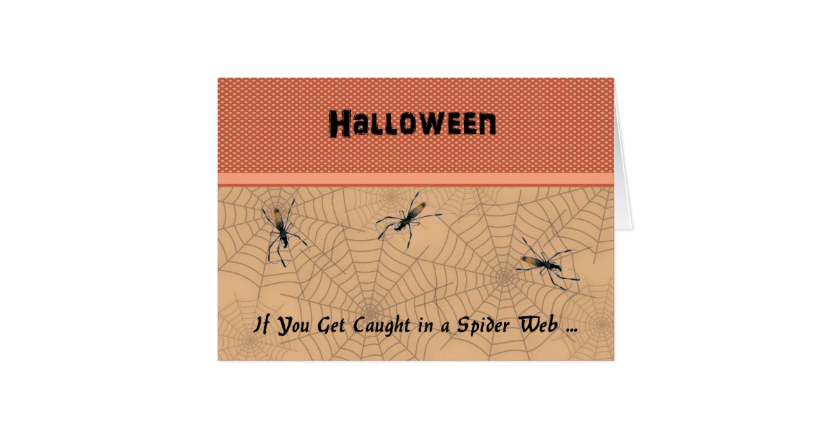 Spider  Halloween Card Zazzle