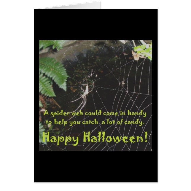 Spider & Web Halloween Card (Front)
