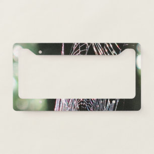 Spider web license plate frame