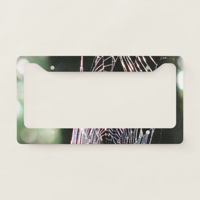 Spider web license plate frame (Front)
