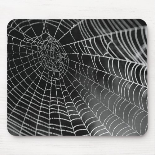 Spider Web Mouse Pad