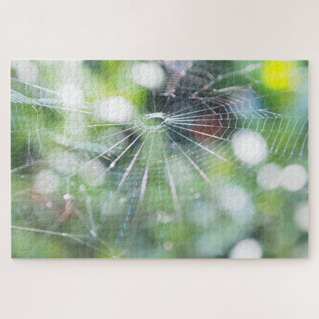 Spider Web Photo Jigsaw Puzzle (Horizontal)