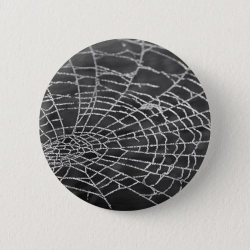 Spider Web Pinback Button