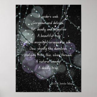 Spider Web Poster