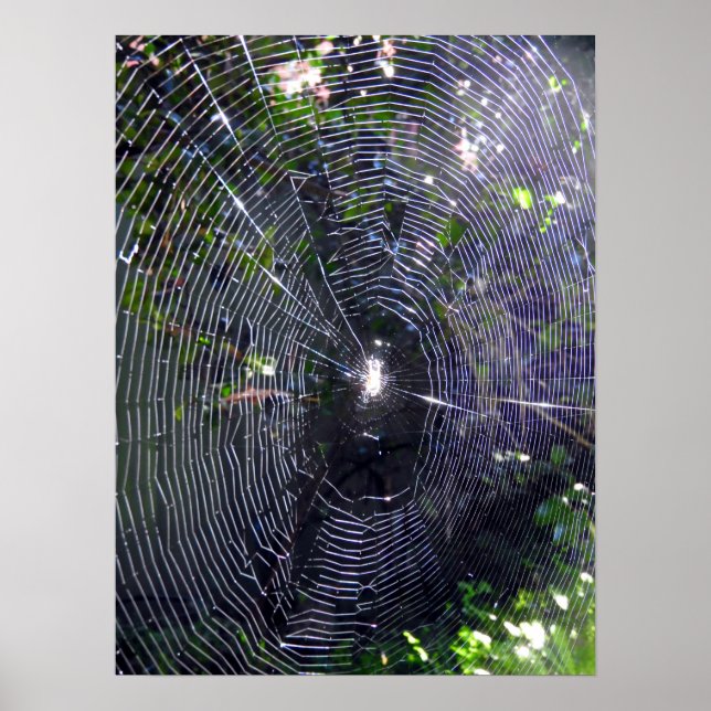 Spider Web Poster (Front)