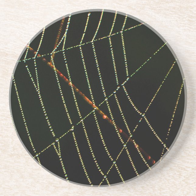 Spider Web Sandstone Coaster (Front)