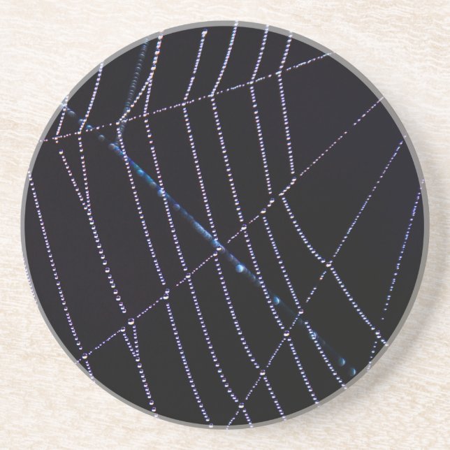 Spider Web Sandstone Coaster (Front)
