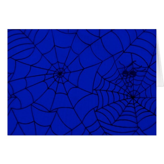 Spider Web, Spider Net, Cobweb, Spider, Insect Cards (Front Horizontal)
