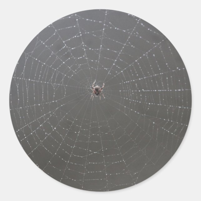 Spider Web Sticker (Front)