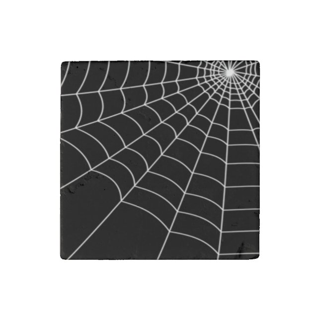 Spider Web Stone Magnet (Front)