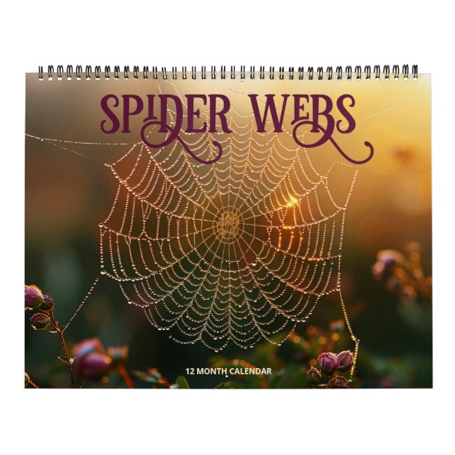 Spider Webs Calendar (Cover)
