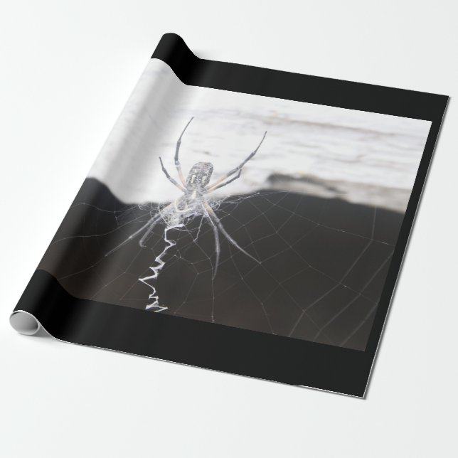 Spider Wrapping Paper (Unrolled)