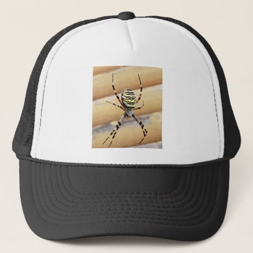 spider yellow balck trucker hat