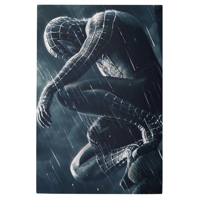 Spiderman Metal Print (Front)