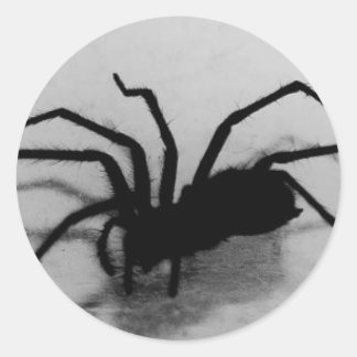 spideroo classic round sticker