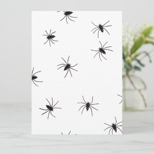 spiders (Standing Front)