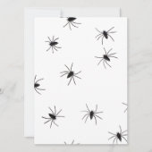 spiders (Front)