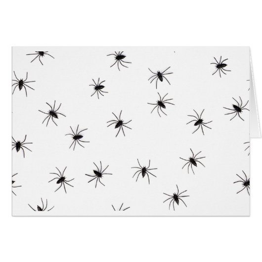 spiders (Front Horizontal)