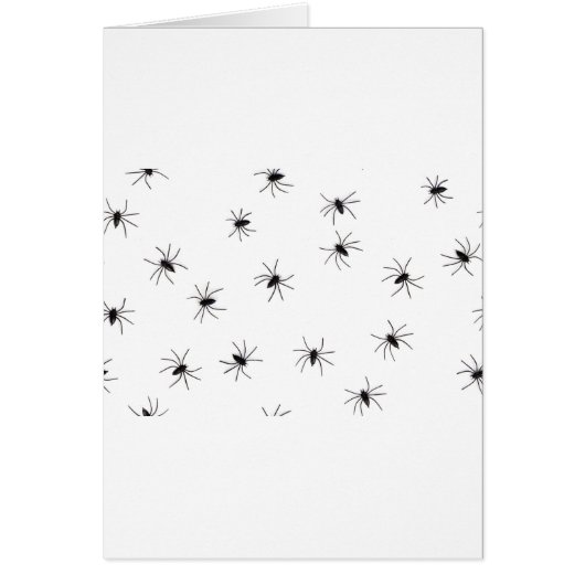 spiders cards (Front)