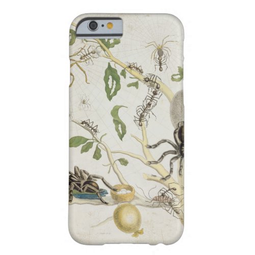 Spiders Mygole plate 18 from Over de Voorteelin Barely There iPhone 6 Case