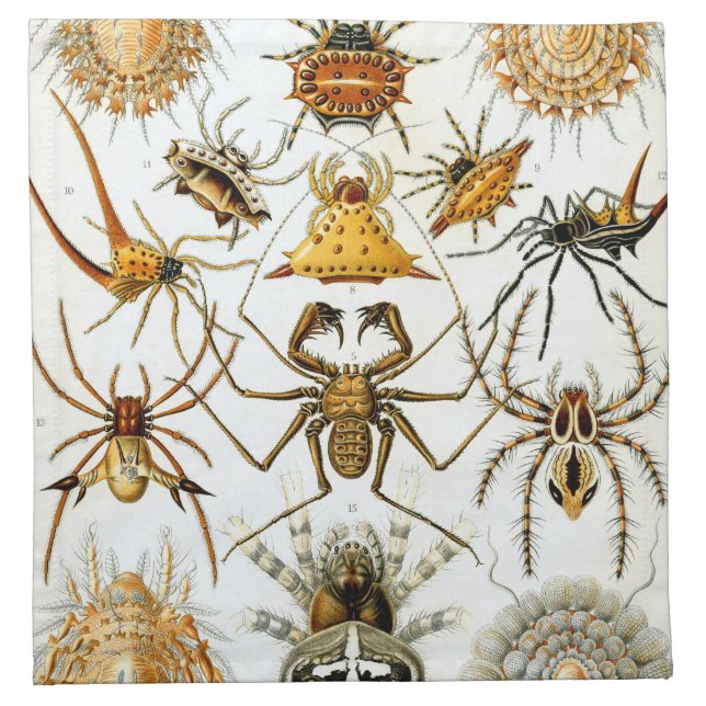 Spiders Napkin (Front)