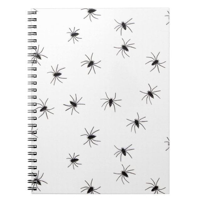 Spiders Notebook (Front)