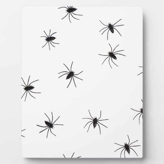 spiders plaque (Front)
