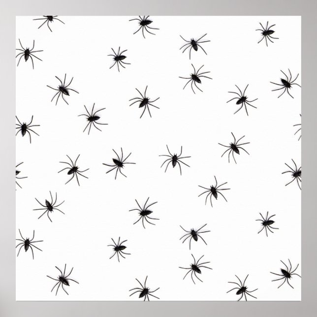 Spiders Poster (Front)
